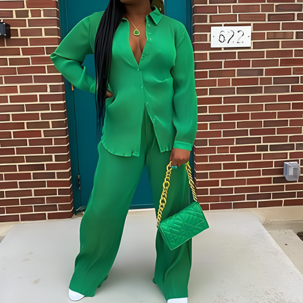 2 Piece Button Down Shirt And Pleated Pants Set For Women