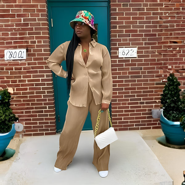 2 Piece Button Down Shirt And Pleated Pants Set For Women
